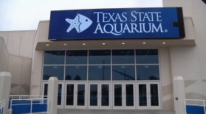 The Texas State Aquarium